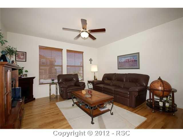1273 Timber Run Hts, Monument, CO 80132