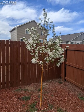 12742 Winding Glen Ln, Peyton, CO 80831