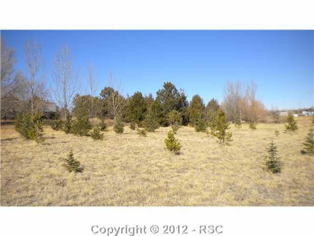 12750 Smith Rd, Peyton, CO 80831