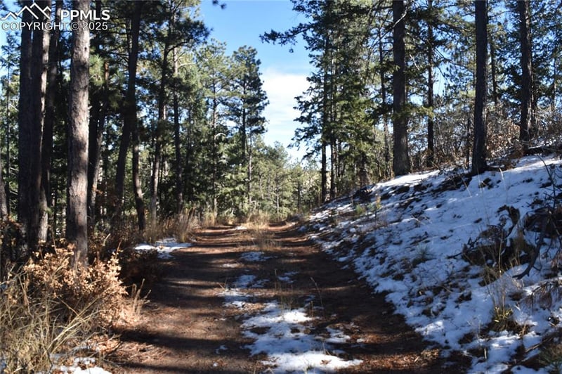 12778 Greenland Acres Rd, Larkspur, CO 80118