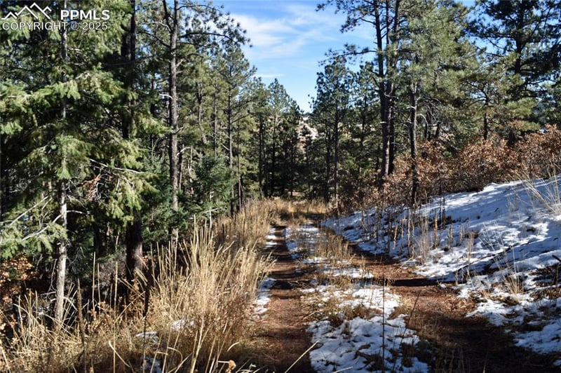 12778 Greenland Acres Rd, Larkspur, CO 80118