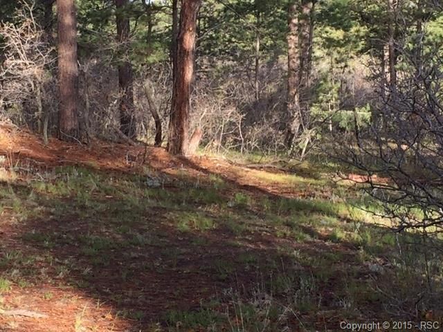 12790 Bridle Bit Rd, Colorado Springs, CO 80908