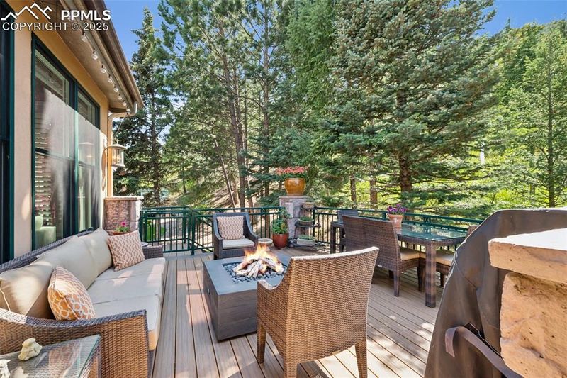 1285 Log Hollow Point, Colorado Springs, CO 80906