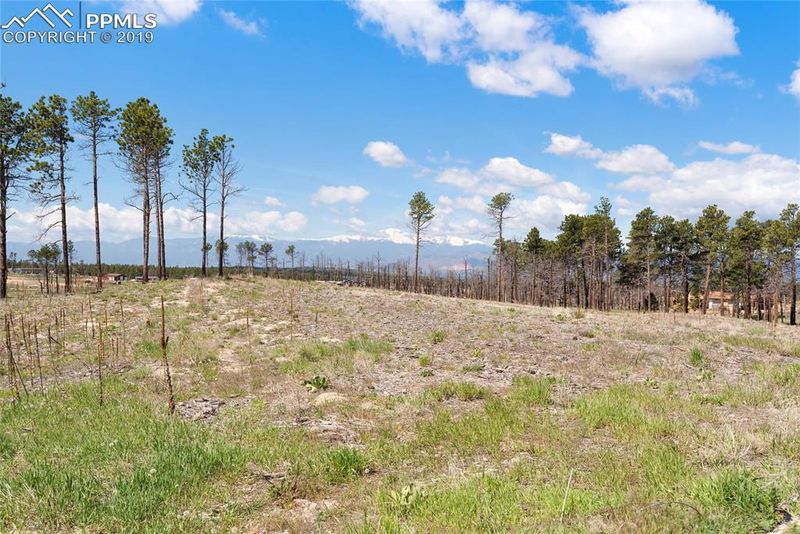 12862 Ward Ln, Colorado Springs, CO 80908