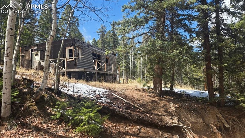129 Mt Elbert Rd, Florissant, CO 80816