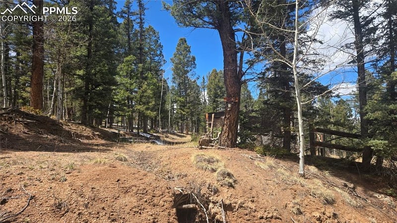 129 Mt Elbert Rd, Florissant, CO 80816