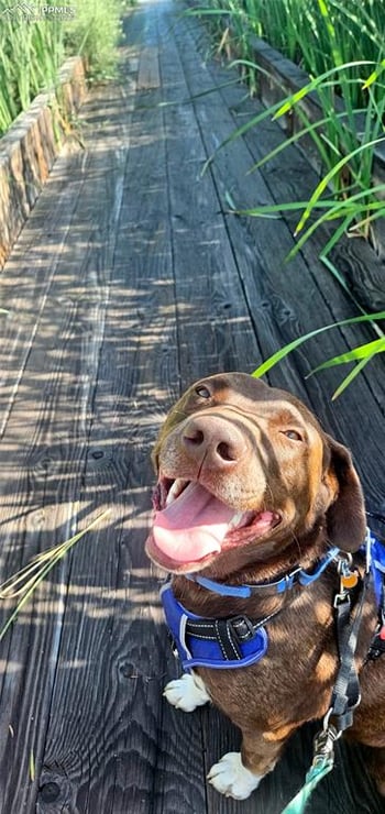 12900 Sunrise Ridge Dr, Peyton, CO 80831