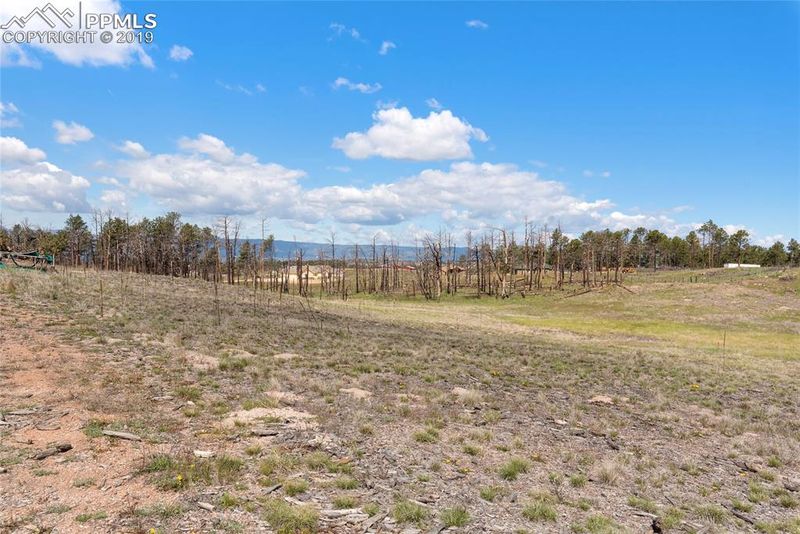 12920 Ward Ln, Colorado Springs, CO 80908
