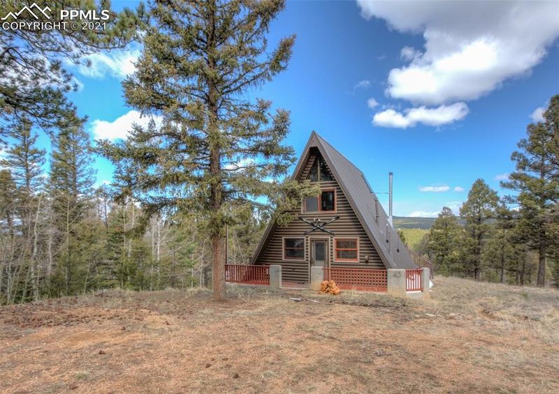1293 Spring Creek Dr, Divide, CO 80814