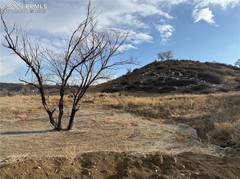 1295 26th St, Colorado Springs, CO 80904