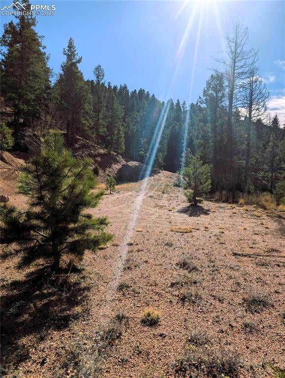 130 Lookout Rd, Cripple Creek, CO 80813