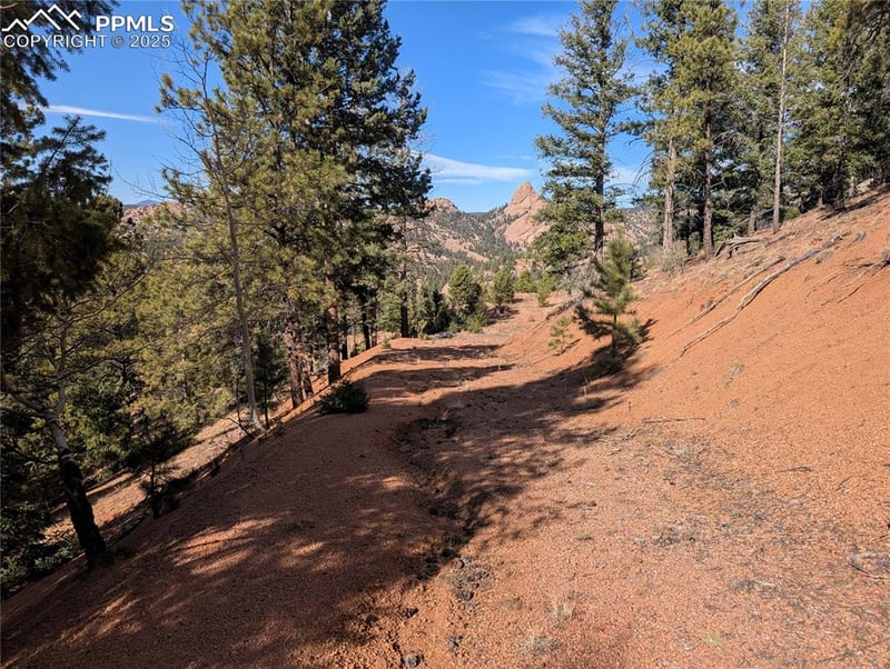 130 Lookout Rd, Cripple Creek, CO 80813