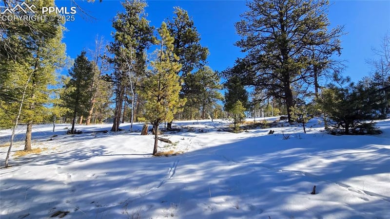 130 Utah Way, Florissant, CO 80816