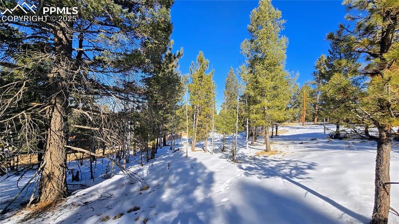 130 Utah Way, Florissant, CO 80816