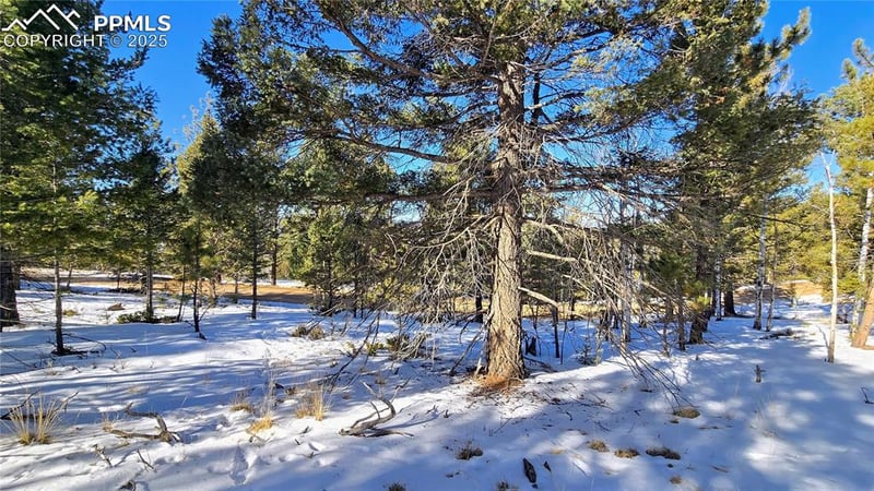 130 Utah Way, Florissant, CO 80816