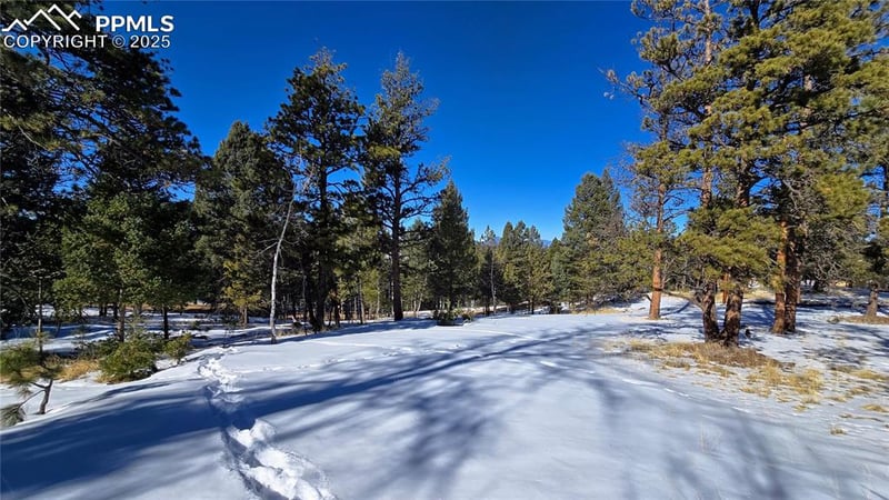 130 Utah Way, Florissant, CO 80816