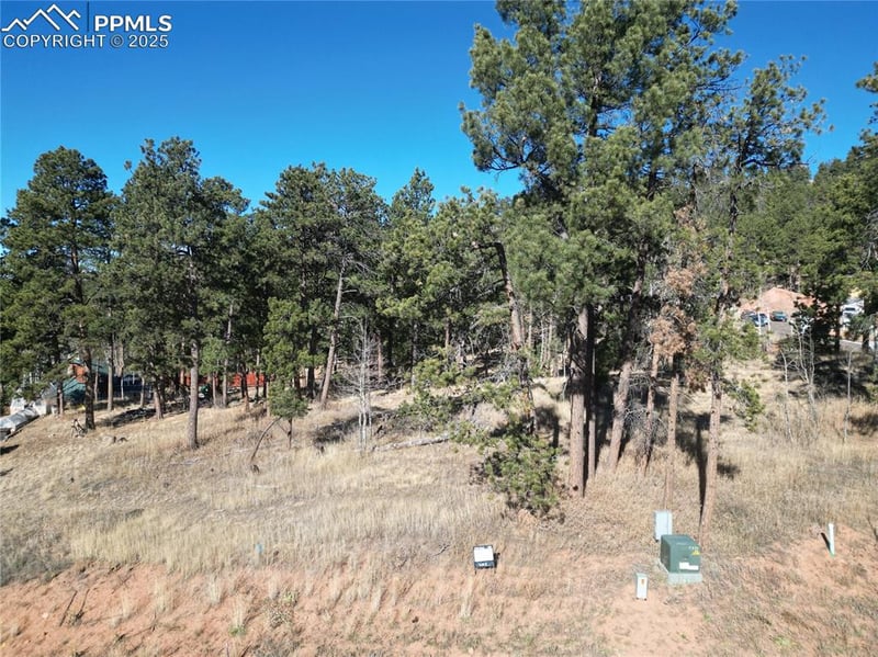 1300 Blue Haven Pl, Woodland Park, CO 80863