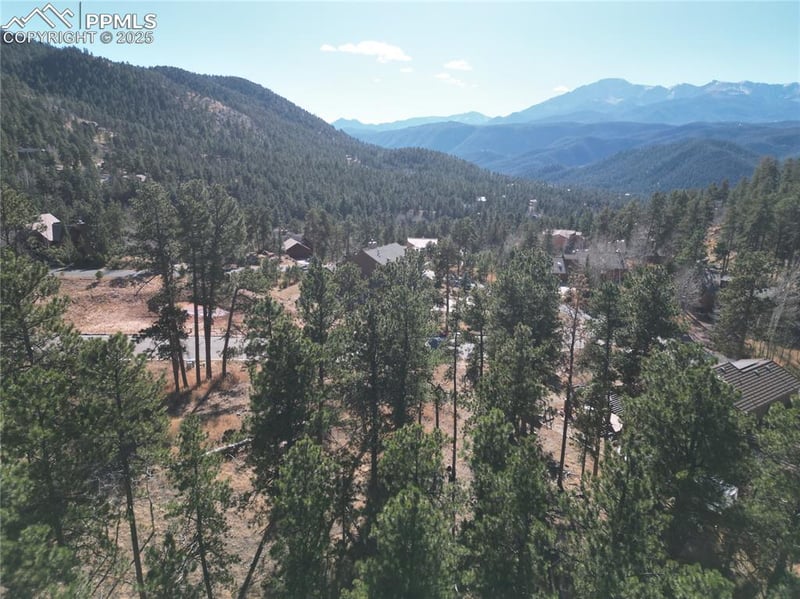 1300 Blue Haven Pl, Woodland Park, CO 80863