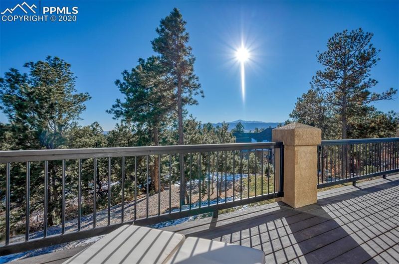 1303 Old Cedar Cv, Monument, CO 80132