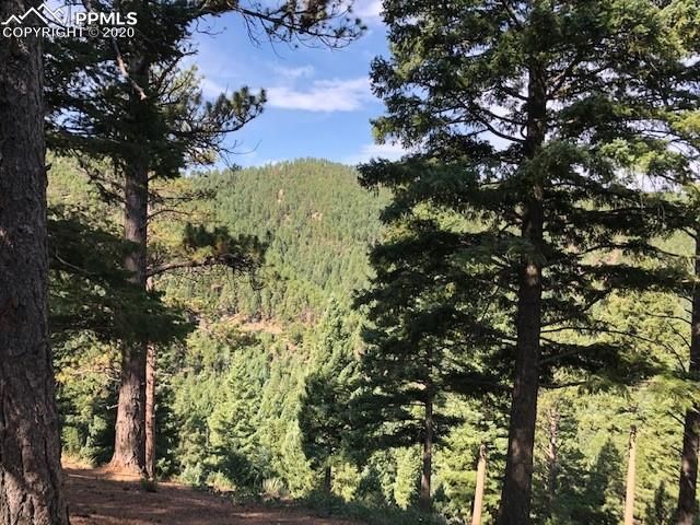 13038 Andiron Way, Larkspur, CO 80118