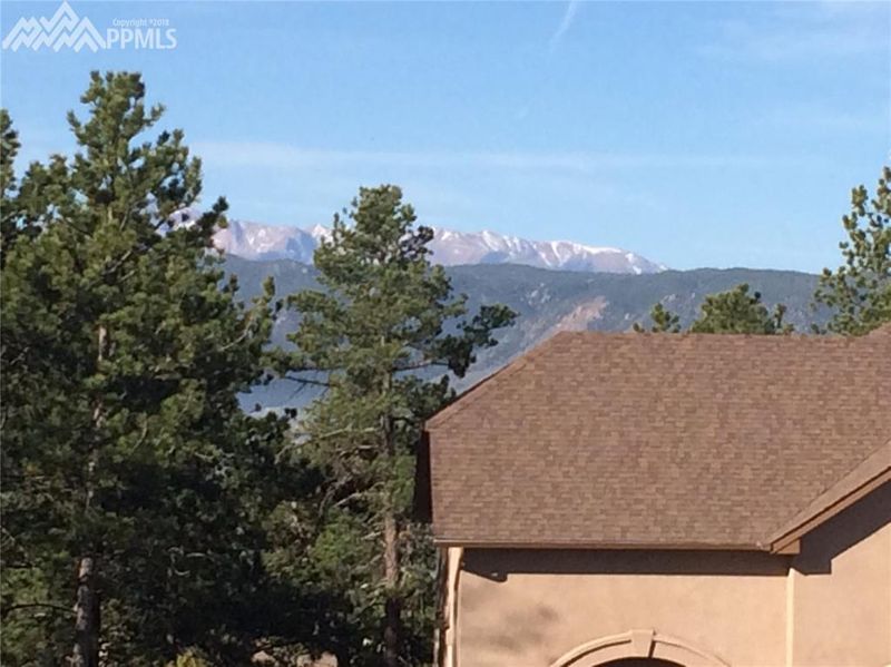 1304 Old Cedar Cv, Monument, CO 80132
