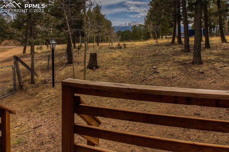 1307 County Road 512 Rd, Divide, CO 80814