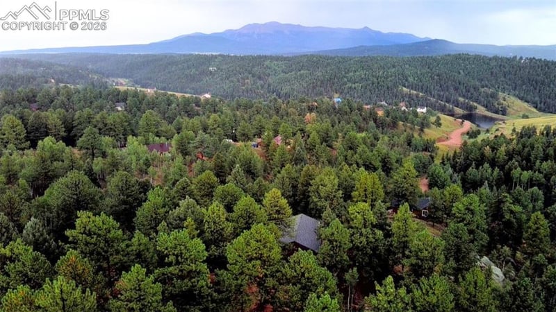 131 Lost Lake Cir, Divide, CO 80814