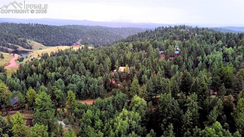 131 Lost Lake Cir, Divide, CO 80814