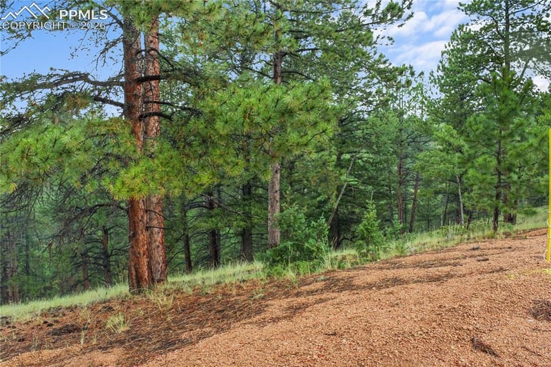 131 Lost Lake Cir, Divide, CO 80814