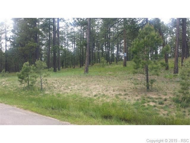 1310 Embassy Ct, Monument, CO 80132