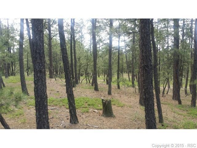 1310 Embassy Ct, Monument, CO 80132