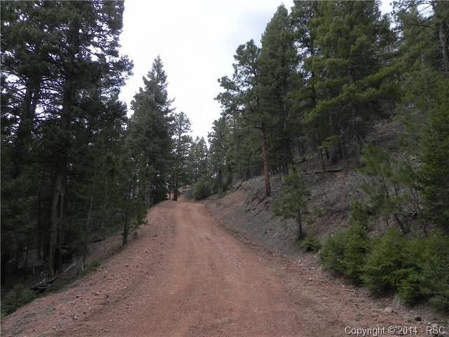 13126 Andiron Way, Larkspur, CO 80118