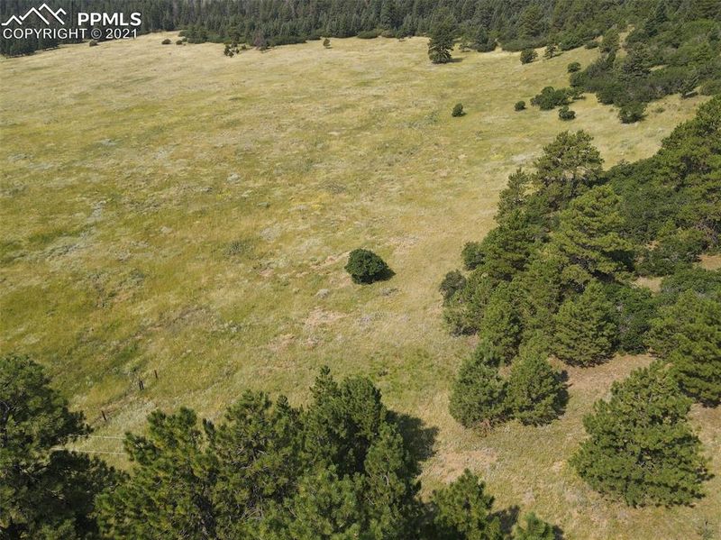 13147 S Perry Park Rd, Larkspur, CO 80118