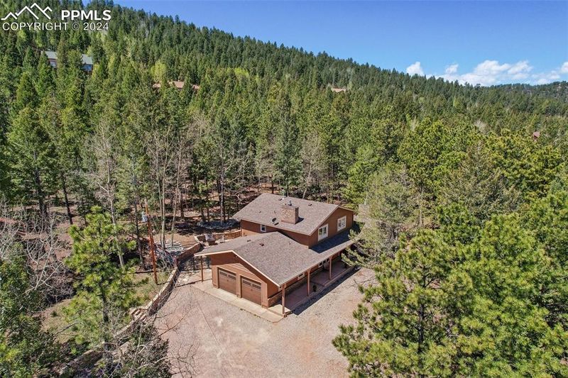1315 W Bowman Ave, Woodland Park, CO 80863