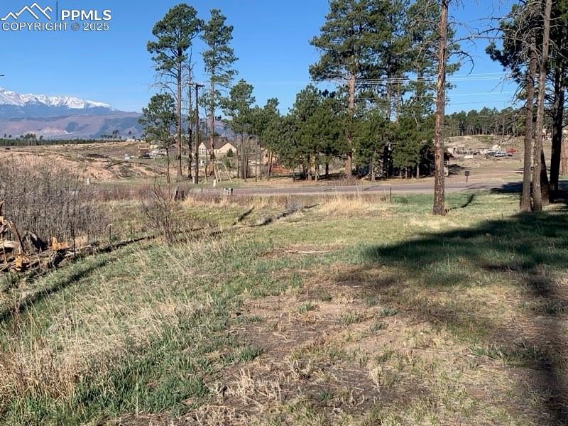 13155 Pine Dr, Colorado Springs, CO 80908