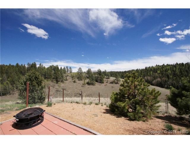 132 Dillon Lake Cir, Divide, CO 80814