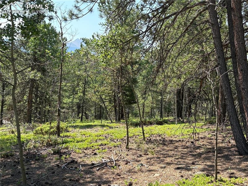 132 Elk Ln, Woodland Park, CO 80863
