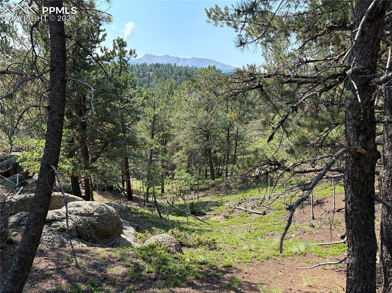 132 Elk Ln, Woodland Park, CO 80863