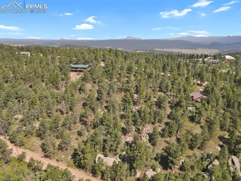 132 Elk Ln, Woodland Park, CO 80863