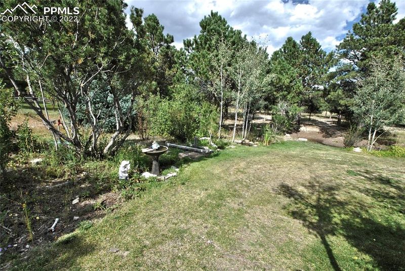 13240 Murphy Rd, Elbert, CO 80106