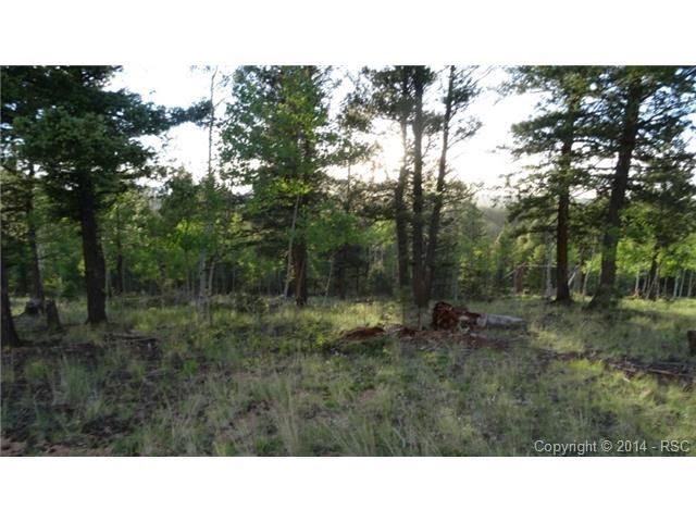 1325 Rangeview Rd, Divide, CO 80814