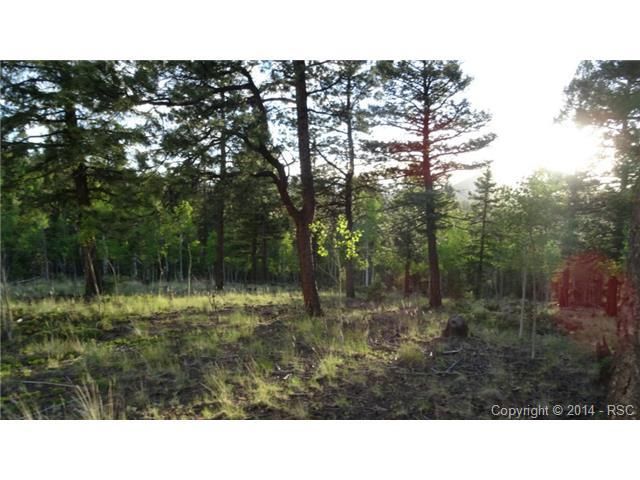 1325 Rangeview Rd, Divide, CO 80814