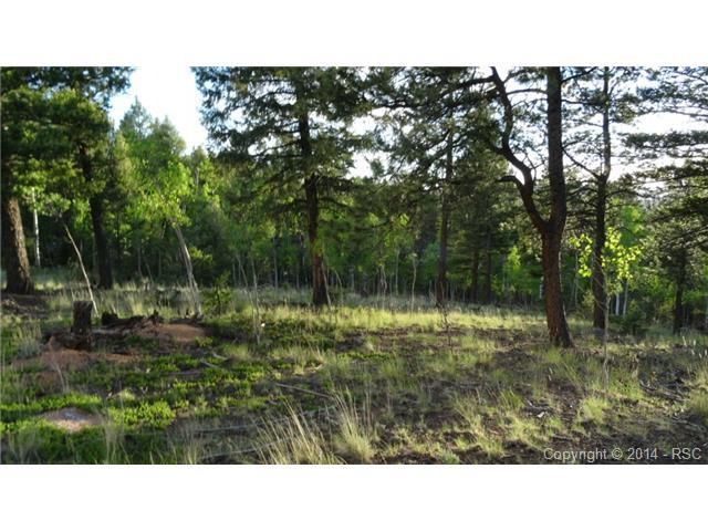 1325 Rangeview Rd, Divide, CO 80814