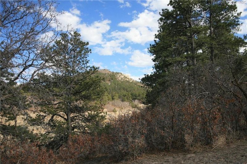 13260 Furrow Rd, Larkspur, CO 80118