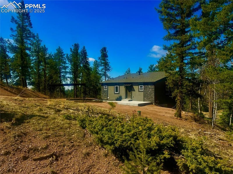 1328 Mountain Estates Rd, Florissant, CO 80816