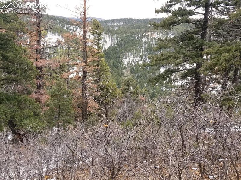 13297 Deer Ridge Way, Larkspur, CO 80118