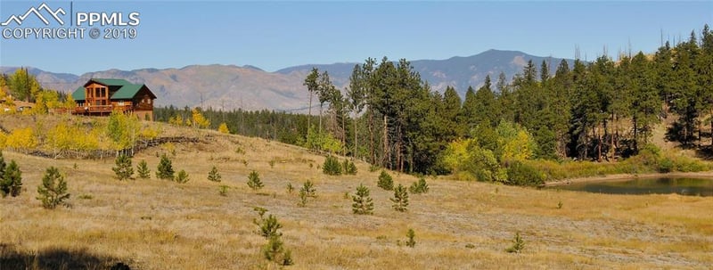 1330 Appleby Dr, Woodland Park, CO 80866