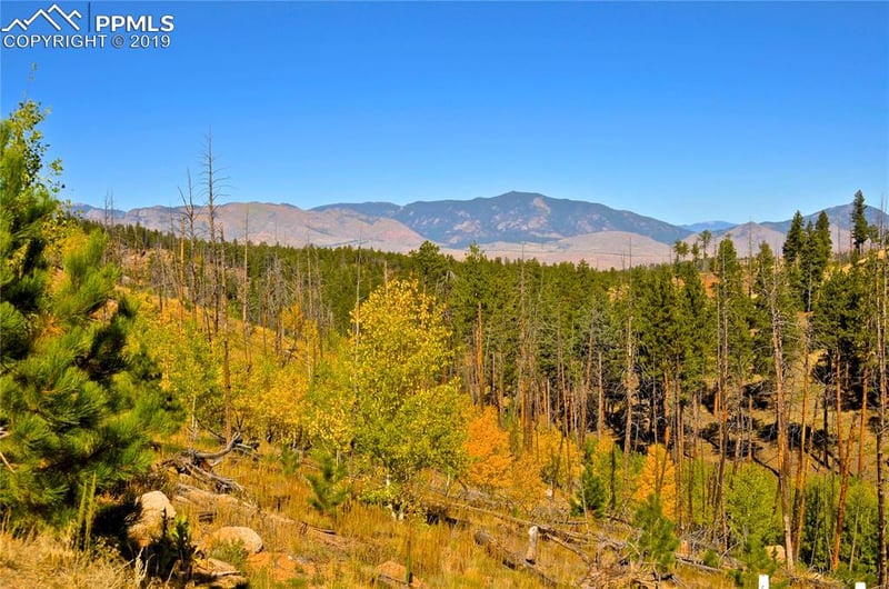 1330 Appleby Dr, Woodland Park, CO 80866