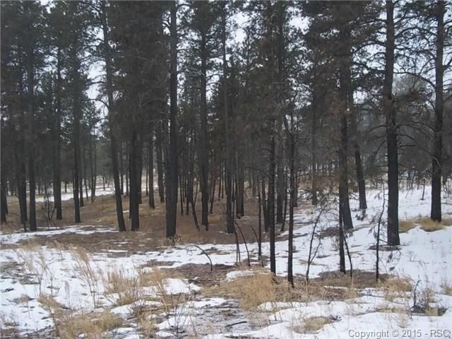 13345 Frank Rd, Colorado Springs, CO 80908
