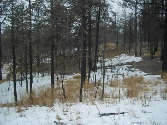13345 Frank Rd, Colorado Springs, CO 80908